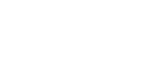 双 CPU 管理