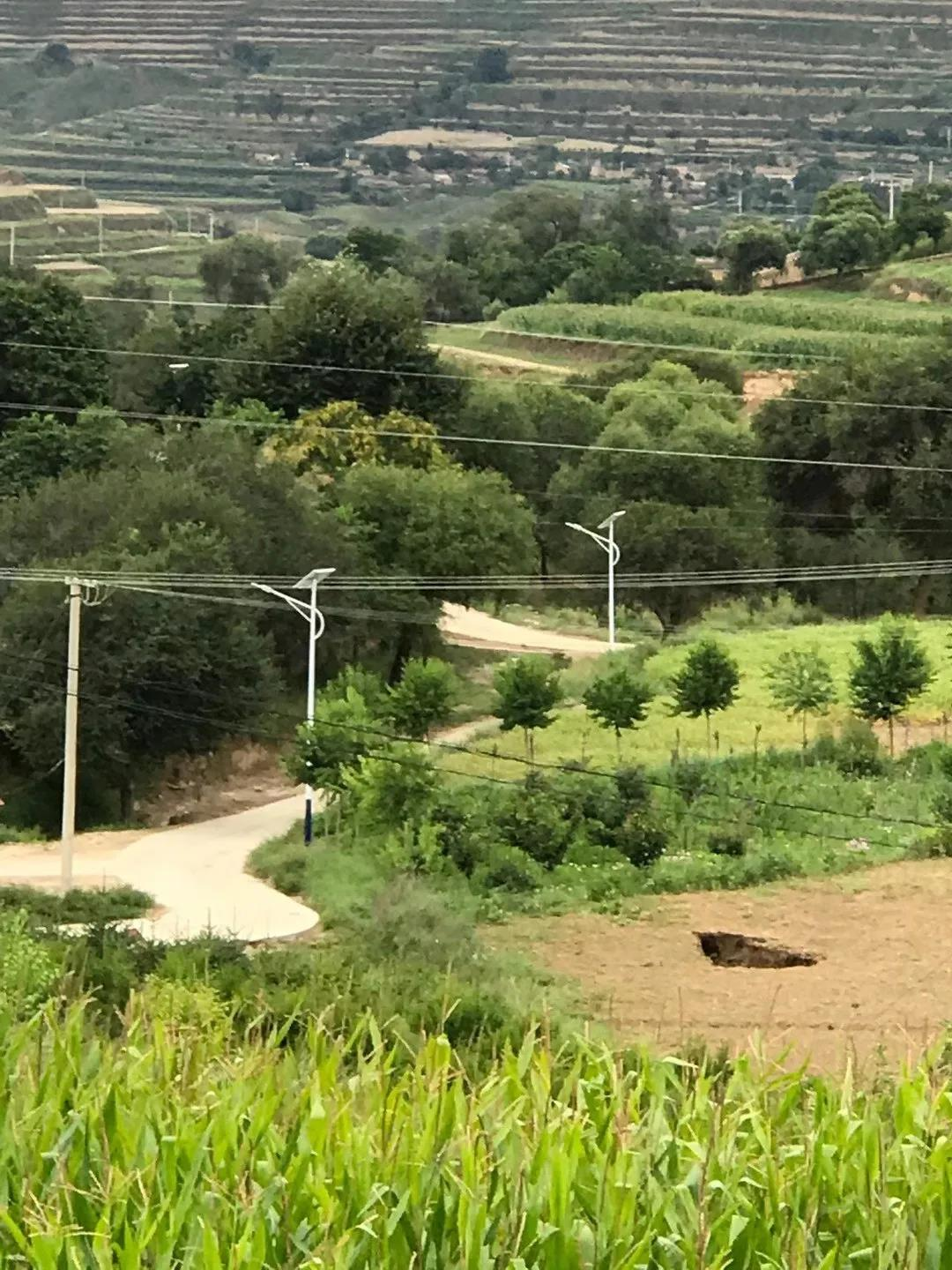 案例赏析〡云雁高飞，助力乡村振兴