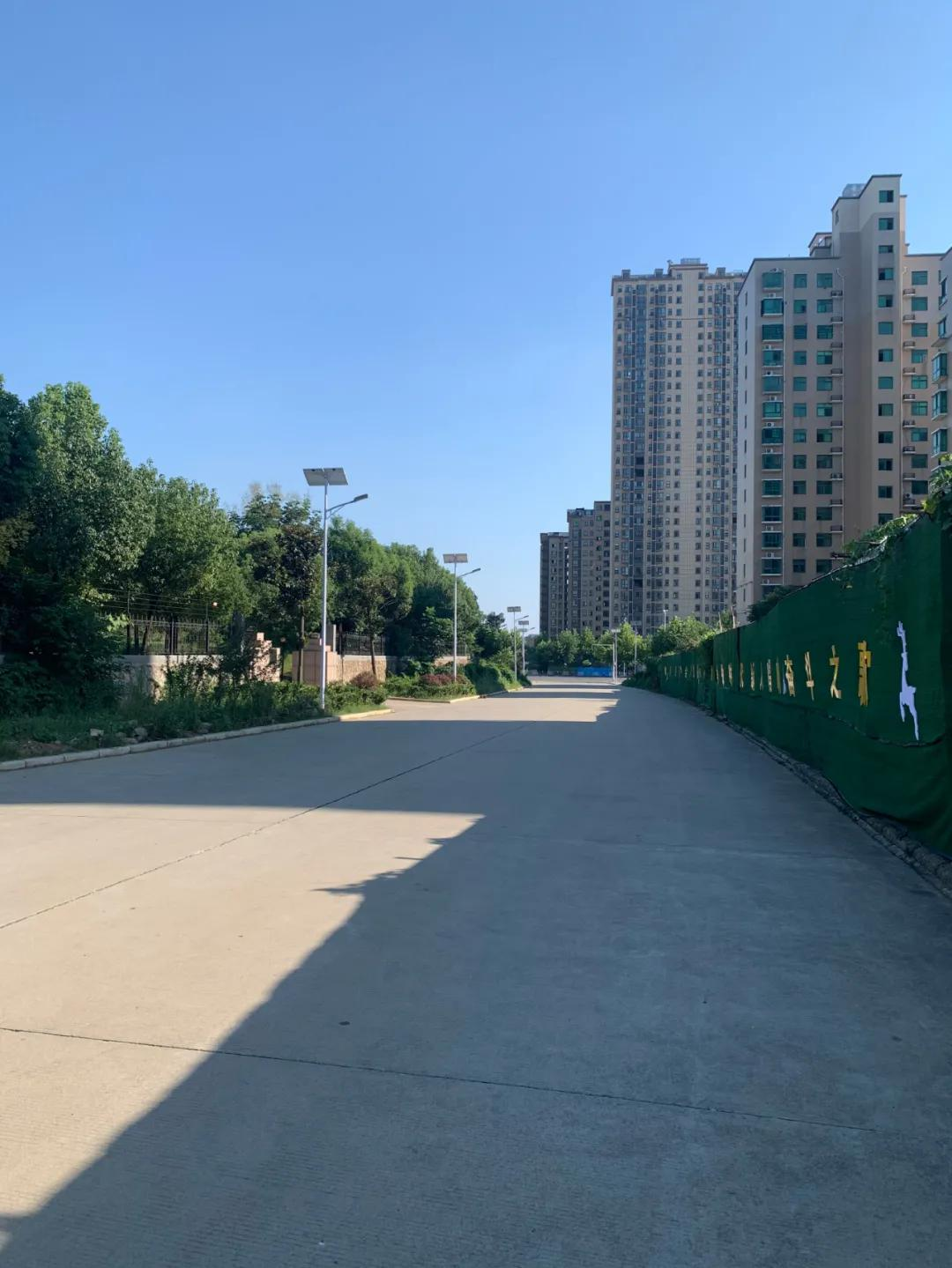 云鹏灯〡九万里风安税驾，云鹏今悔不卑飞