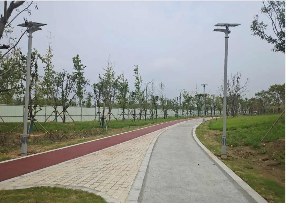 晴空排云雁高飞,源码项目掀热潮