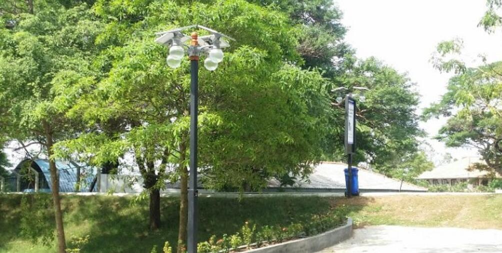 路灯采取哪种接地方式?