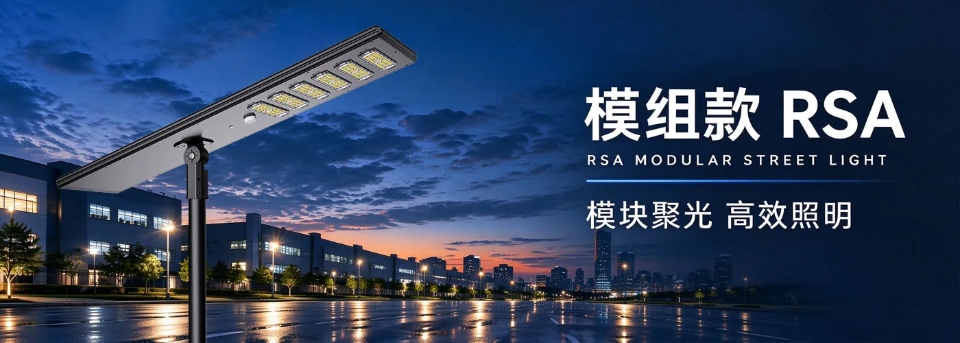 RSA系列